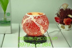 tinh dau thien nhien cho phong khahch